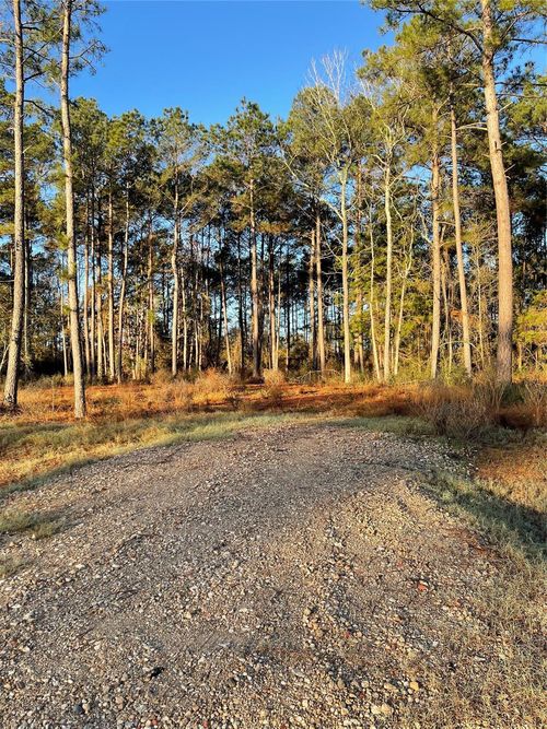 11309 Annie Creek Drive, Willis, TX, 77378 | Card Image