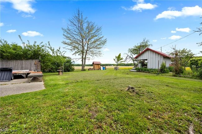 View of grassy yard | Image 14