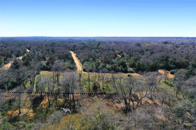 0 Sycamore Branch Rd, Home with 0 bedrooms, 0 bathrooms and null parking in Normangee TX | Image 10