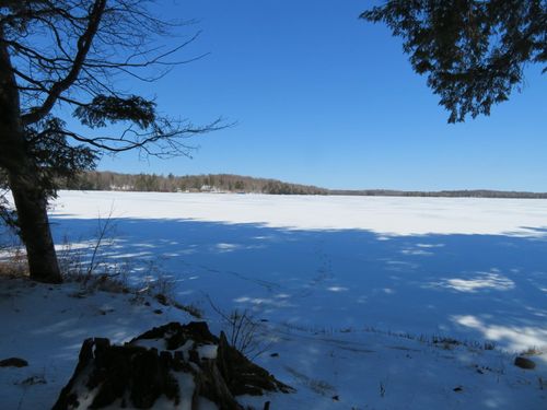 ON Enterprise Lake Rd, Elcho, WI, 54428 | Card Image