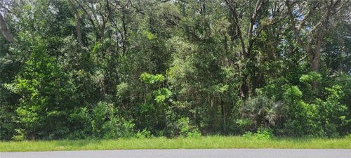 0 Sw Beach Blvd, Dunnellon, FL, 34431 | Card Image