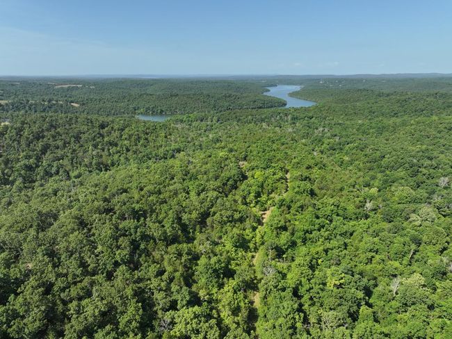 dji_fly_20250620_102012_0006_17504331165 | Image 40