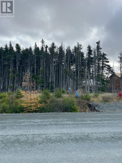 20 Keeley Lane, Portugal Cove - St. Philips, NL, A1M0J1 | Card Image