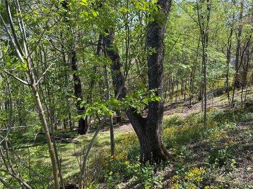 TBD Ski Mountain Rd, Blowing Rock, NC, 28605 | Card Image