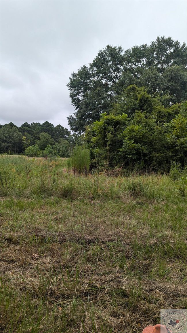 604 Hwy 82 West, House other with 3 bedrooms, 2 bathrooms and null parking in New Boston TX | Image 11