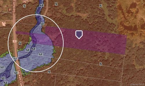 751 Sackett Lake Rd, Monticello, NY, 12701-4710 | Card Image