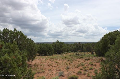 TBD N8595, Concho, AZ, 85924 | Card Image