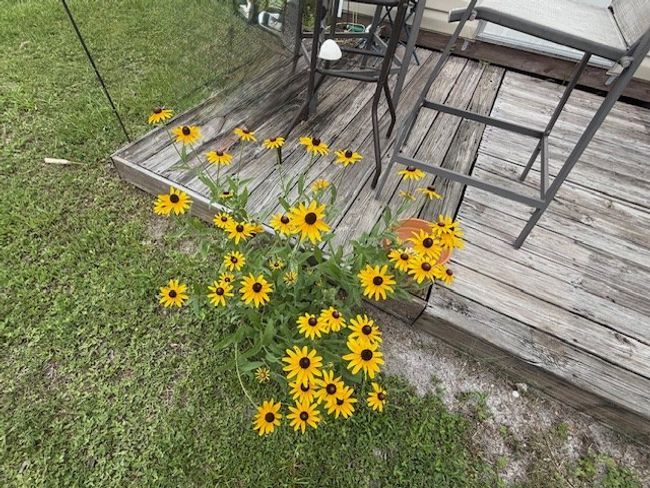 125 N Patrick St, House other with 1 bedrooms, 1 bathrooms and 4 parking in Port St. Joe FL | Image 29