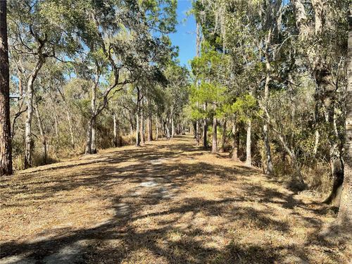 4051-3803 Dixiana Dr, Bowling Green, FL, 33834-4093 | Card Image