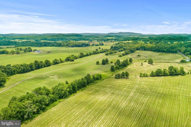 8160 Frogtown Rd, Home with 0 bedrooms, 0 bathrooms and null parking in MARSHALL VA | Image 27