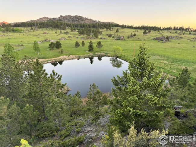 9200 Old Flowers Rd, House other with 4 bedrooms, 6 bathrooms and null parking in Bellvue CO | Image 7