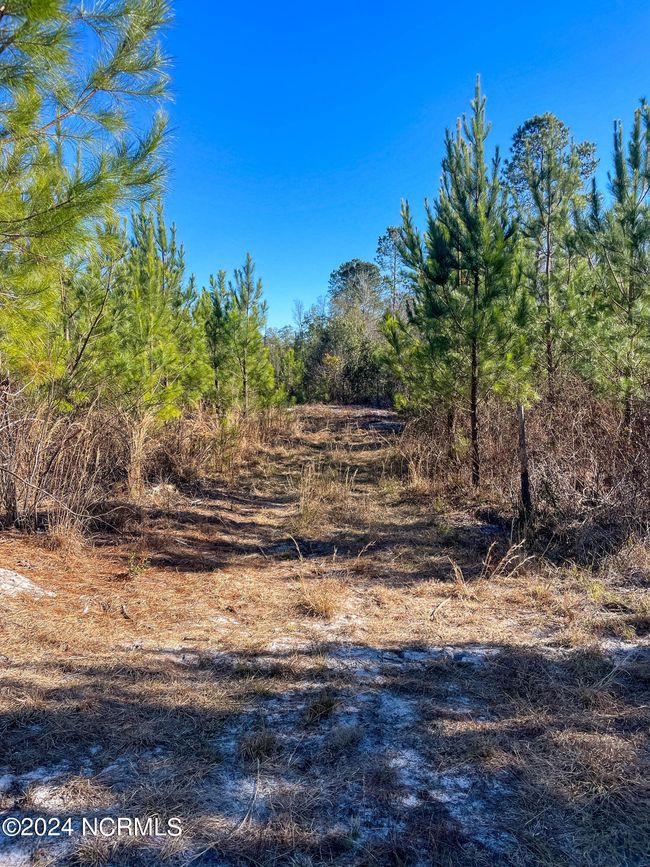 00 Sykes Town Rd, Home with 0 bedrooms, 0 bathrooms and null parking in Currie NC | Image 47
