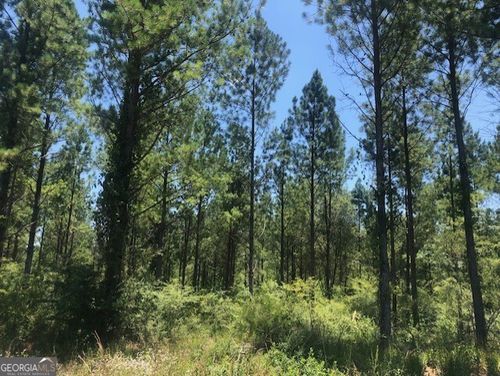 0 Croxton Cross Rd, Smithville, GA, 31787 | Card Image