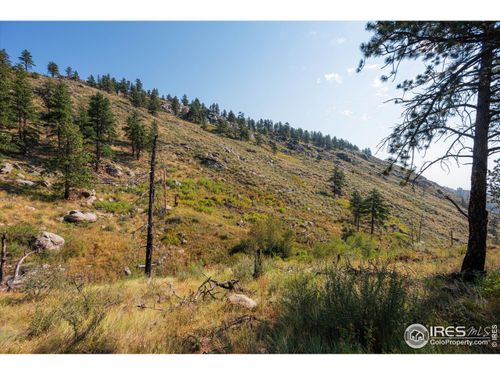 0 Pine Acres Way, Bellvue, CO, 80512 | Card Image