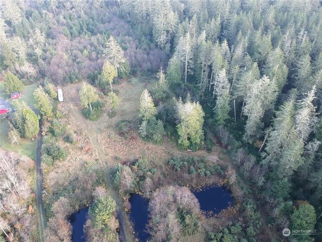 36602 Stackpole Rd, Home with 0 bedrooms, 0 bathrooms and null parking in Oysterville WA | Image 25