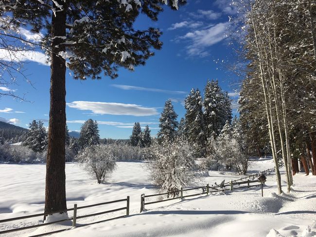 Winter in the Common Area | Image 74