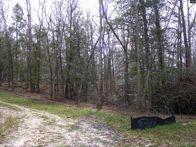 0 Great Circle Drive, Home with 0 bedrooms, 0 bathrooms and null parking in St. Matthews SC | Image 10