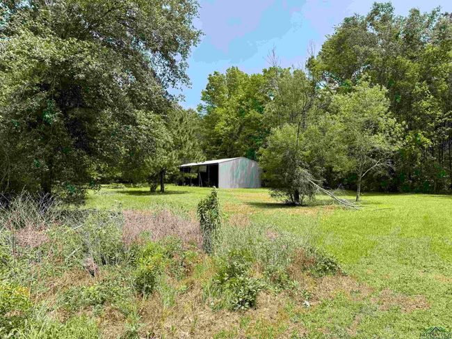 377 Cargill Rd E, House other with 3 bedrooms, 2 bathrooms and null parking in Marshall TX | Image 32