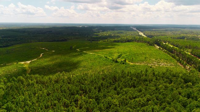 1 Three Notch Rd, Home with 0 bedrooms, 0 bathrooms and null parking in Monetta SC | Image 11
