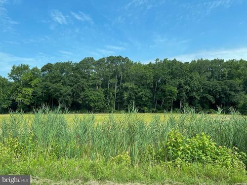 Lot 5 Campbelltown Rd, BISHOPVILLE, MD, 21813 | Card Image