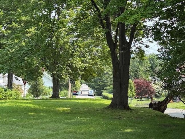 View of green lawn | Image 39