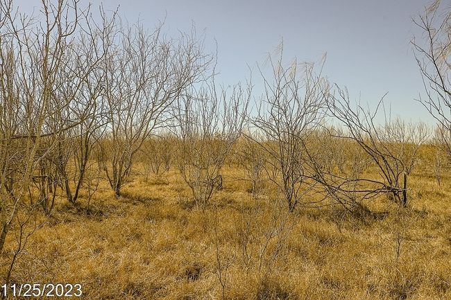 2 Us Hwy 85, Home with 0 bedrooms, 0 bathrooms and null parking in Dilley TX | Image 8