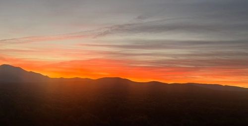 60 Coyote Moon Dr, Tres Piedras, NM, 87577-8047 | Card Image