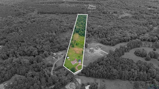 1557 Driskell Bridge Rd, House other with 5 bedrooms, 3 bathrooms and null parking in Harleton TX | Image 37