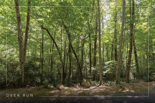 Lot 54 Toxaway Lane, Sapphire, NC, 28774 | Card Image