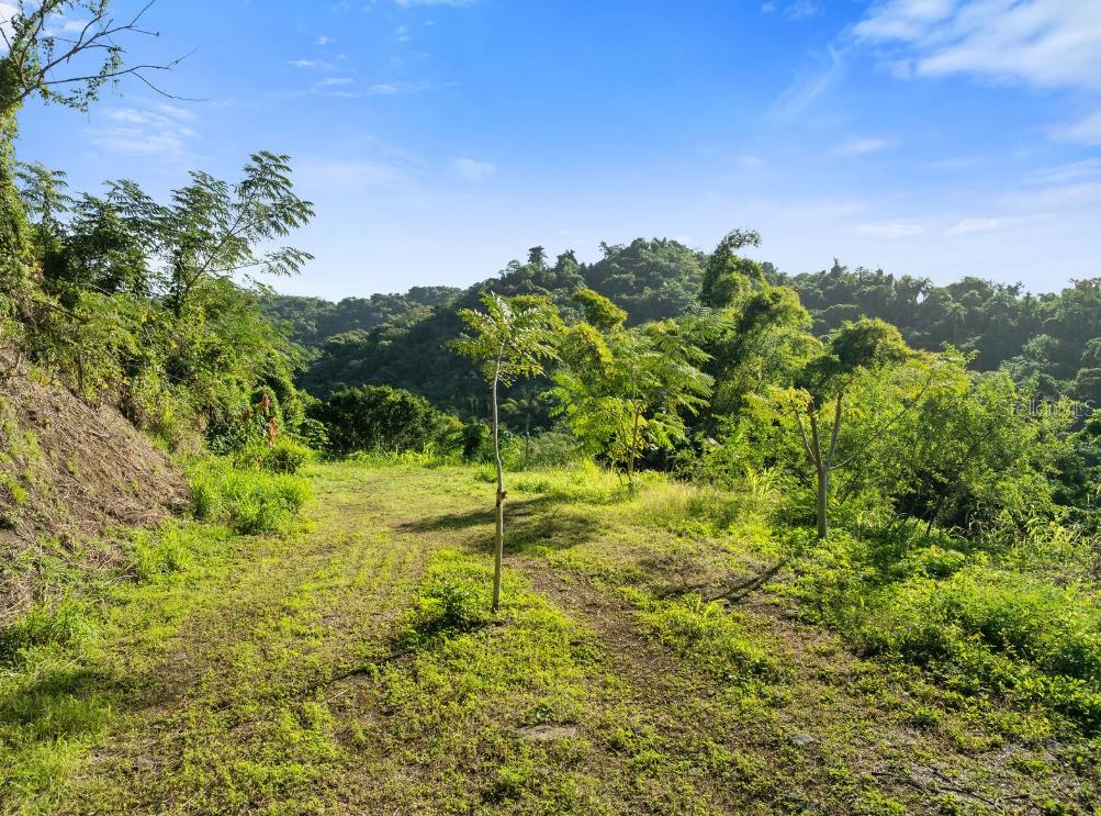 Land en venta en ANASCO, SOLAR 2. BARRIO DAGUEY, URB. SAGRADO CORAZON