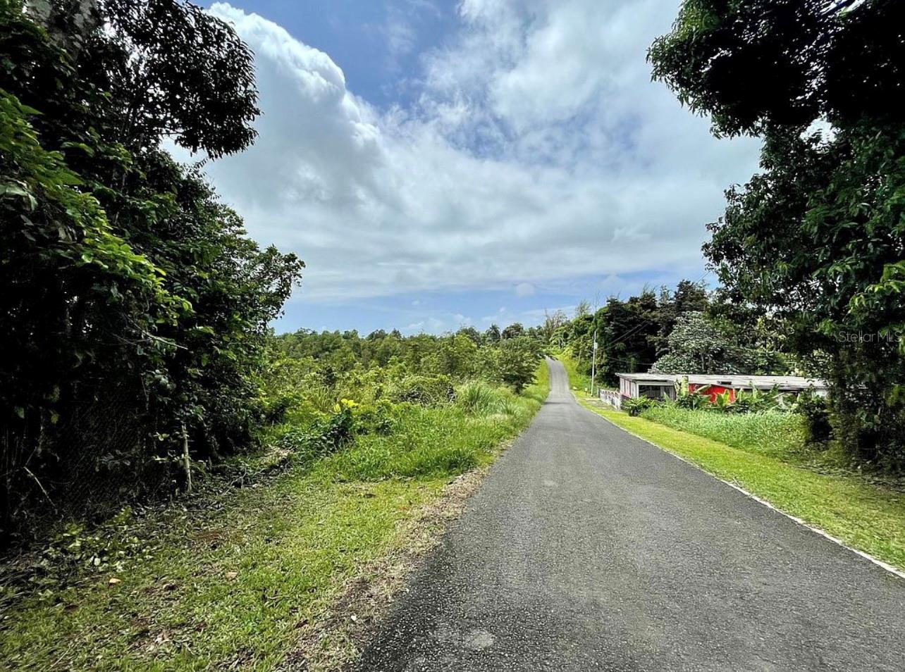 Land en venta en CEIBA, 975 CEIBA , BO RIO ABAJO