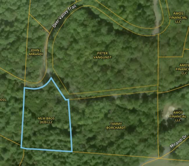 Lot 1 Mirandi Dr, Home with 0 bedrooms, 0 bathrooms and null parking in Warne NC | Image 12