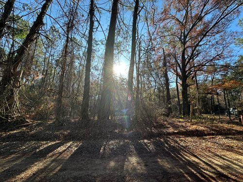 5 Saggus Rd, Washington, GA, 30673 | Card Image