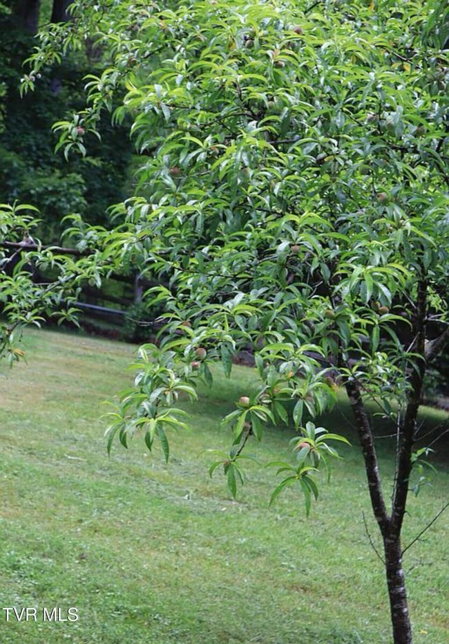 3219 Dungannon Rd, House other with 3 bedrooms, 3 bathrooms and null parking in Coeburn VA | Image 65