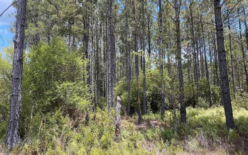 1570 Sw Wabasso Ter, GREENVILLE, FL, 32331 | Card Image