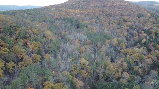 15 Gorge Rd, Home with 0 bedrooms, 0 bathrooms and null parking in Middleburgh NY | Image 16