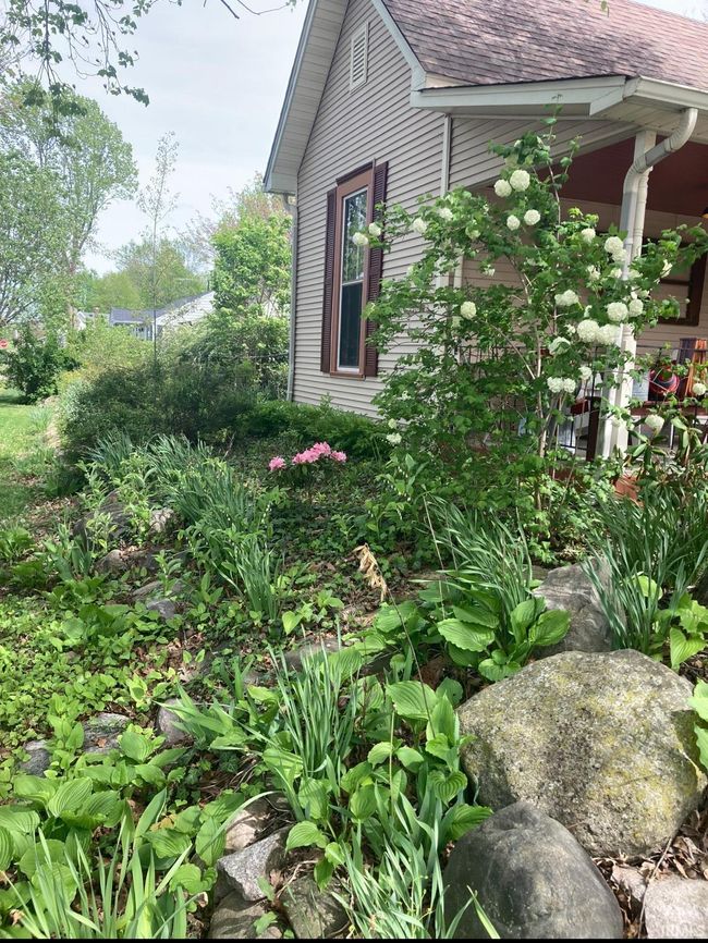 482 N 7 Th St, House other with 3 bedrooms, 1 bathrooms and null parking in Middletown IN | Image 9