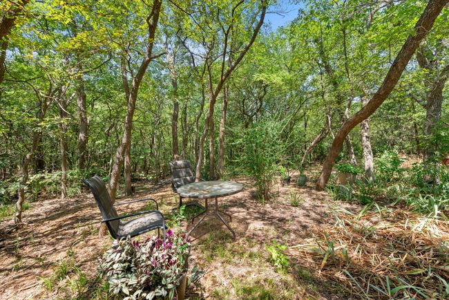 View of yard | Image 8