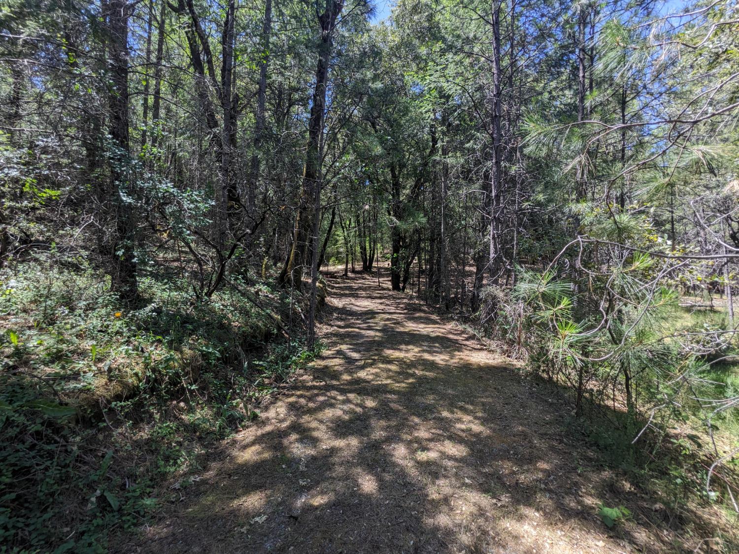 Land in Garden Valley 3