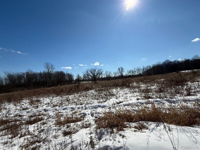0 Dean Rd, Home with 0 bedrooms, 0 bathrooms and null parking in Brown City MI | Image 11