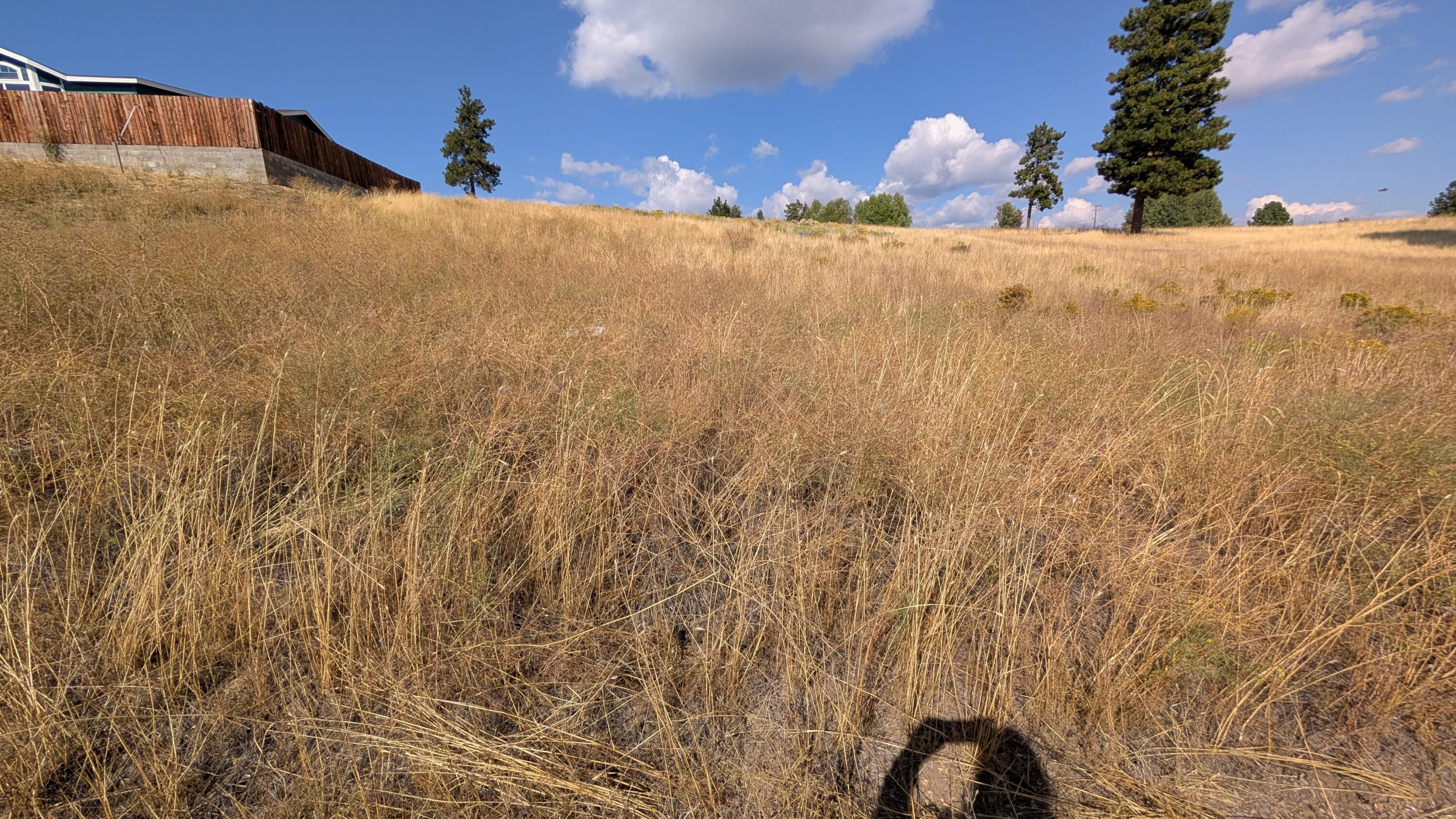 Land in Chiloquin 3