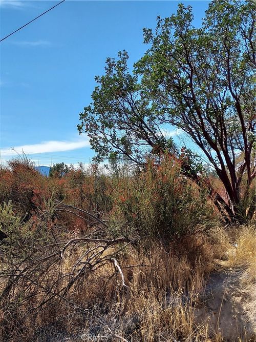 16301 11th Ave, Clearlake, CA, 95422 | Card Image