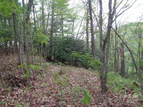 00 Promiseland Rd, Canton, NC, 28716 | Card Image