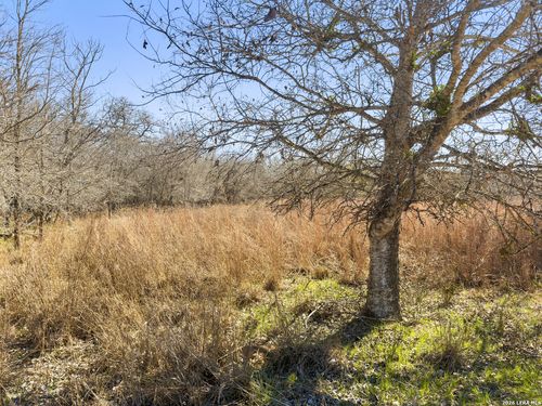 372 Shoshoni, Kingsbury, TX, 78638-2095 | Card Image