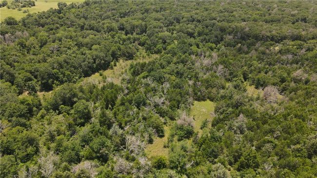 Aerial view of a forest | Image 14