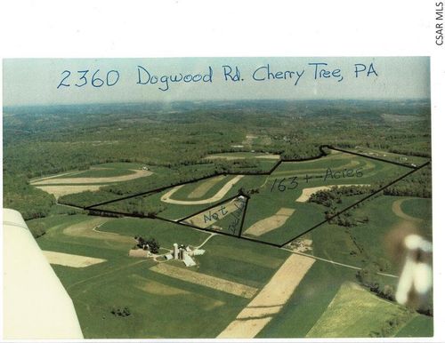 2360 Dogwood Rd, Cherry Tree, PA, 15724-6724 | Card Image