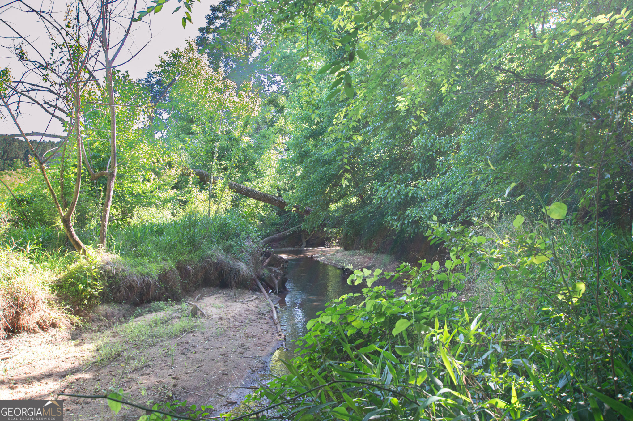 Land in Monticello 3