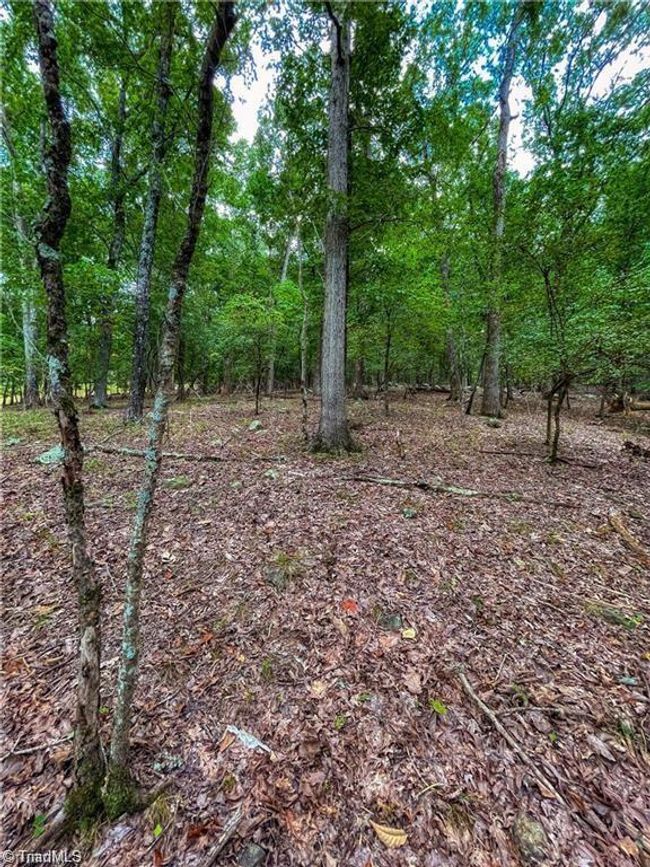 0 Rocky Cove Ln, Home with 0 bedrooms, 0 bathrooms and null parking in Denton NC | Image 8
