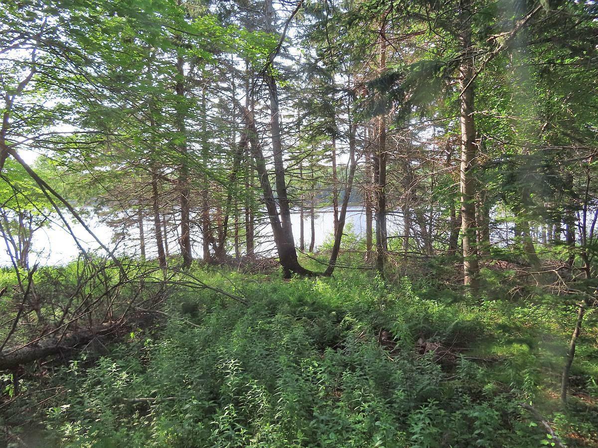 Land in Evanston 2