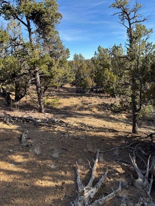 92 Rocky Knoll Ln, Cubero, NM, 87014 | Card Image